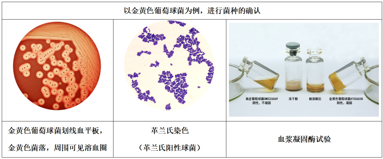 1101無(wú)菌檢查法——培養基適用性檢查操作要點(diǎn)(中國藥典2020年版四部) 1101無(wú)菌檢查法——培養基適用性檢查操作要點(diǎn)(中國藥典2020年版四部)