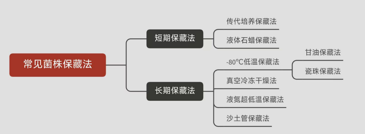 常見(jiàn)菌株保藏法的優(yōu)缺點(diǎn)對比 常見(jiàn)菌株保藏法的優(yōu)缺點(diǎn)對比