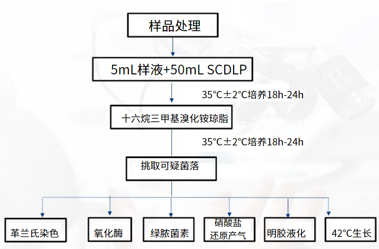 一次性衛生用品之綠膿桿菌檢測 一次性衛生用品之綠膿桿菌檢測