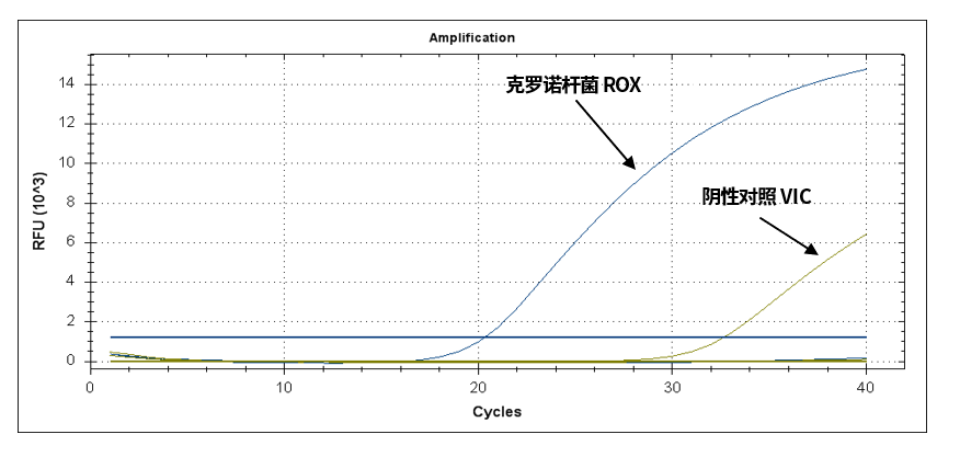 GB 4789.40-2024克羅諾桿菌檢驗標準變更解讀 GB 4789.40-2024克羅諾桿菌檢驗標準變更解讀