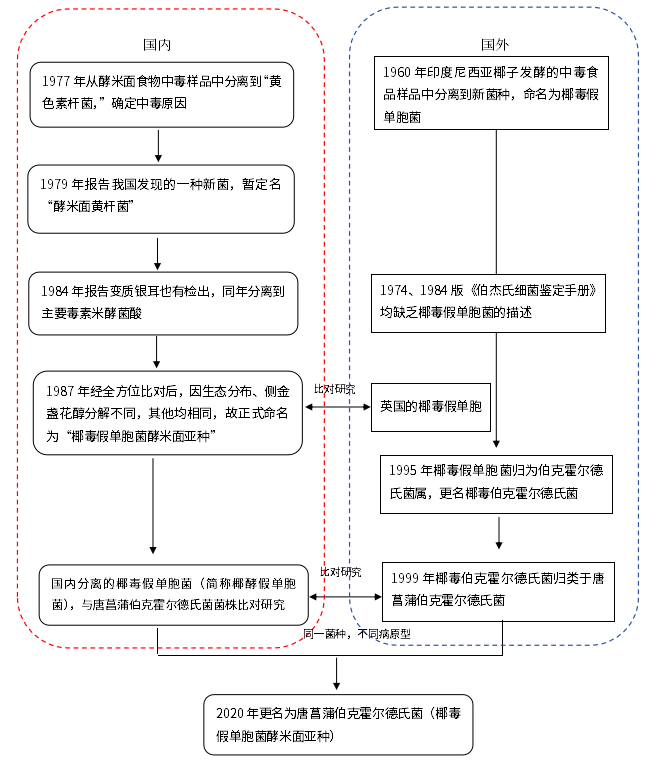 不斷變換“馬甲”的細菌——唐菖蒲伯克霍爾德氏菌(上) 不斷變換“馬甲”的細菌——唐菖蒲伯克霍爾德氏菌(上)